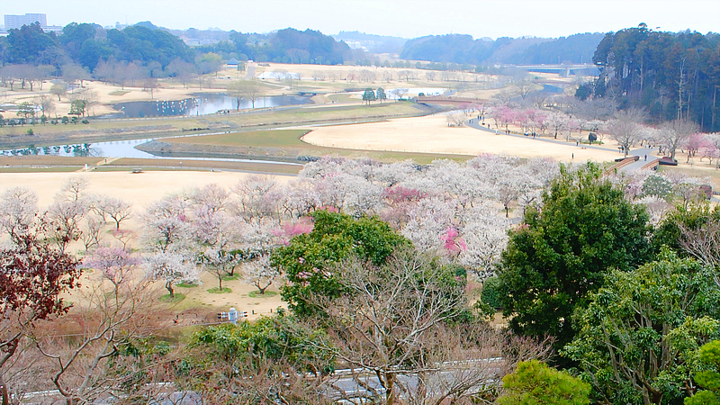 Kairakuen Park in Mito City