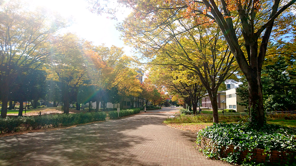 Aramaki Campus in Autumn. 