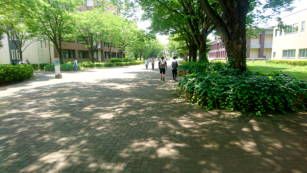 Aramaki Campus in Summer.