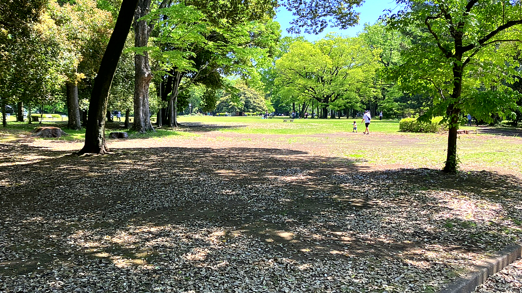 Gunma-no-mori Park, Takasaki Cit